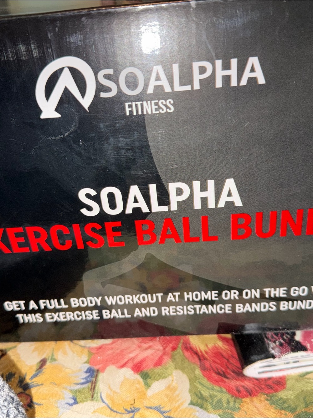 Black Exercise Ball & Resistance Band exercise ball bundle